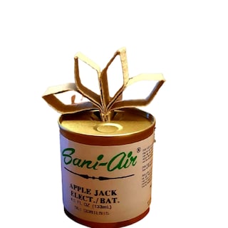 Foto 2 | Paquete De 5 Puntas Aromáticas Sani Air Para Ambientador - Venta Internacional.