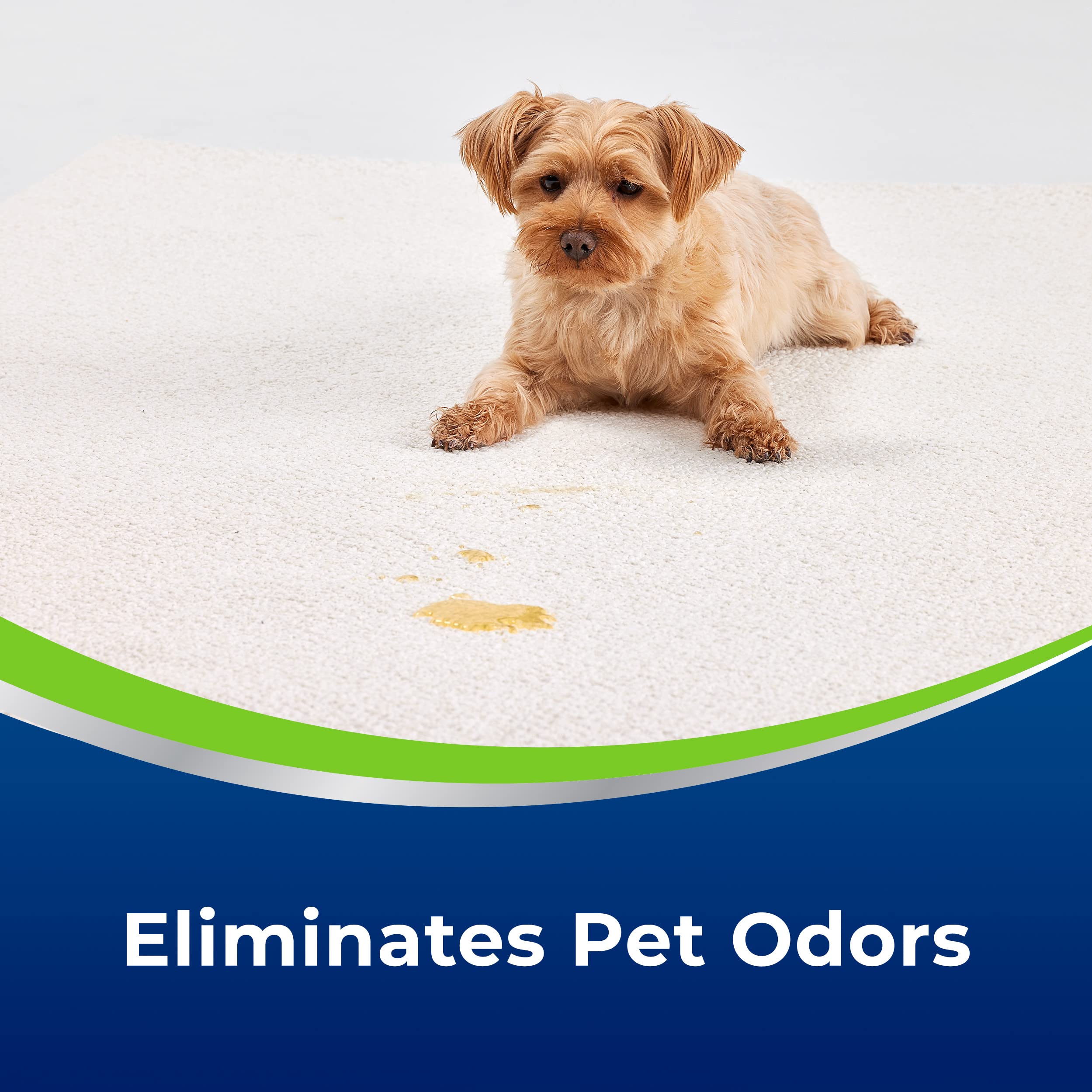 Foto 5 pulgar | Eliminador De Manchas Y Olores Bissell Woolite  Advantage Pet 3327 - Venta Internacional.