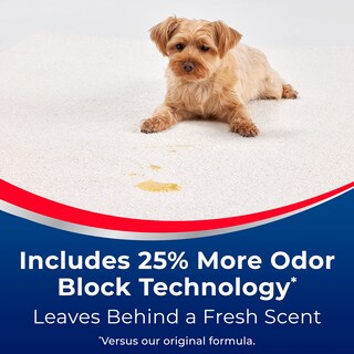 Foto 4 | Quitamanchas Bissell Advantage Instaclean™ Pet 3322, Paquete De 2 - Venta Internacional.