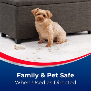 Foto 6 | Quitamanchas Bissell Advantage Instaclean™ Pet 3322, Paquete De 2 - Venta Internacional.