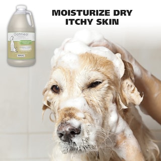 Foto 2 | Champú Para Mascotas Wahl Usa Dry Skin & Itch Relief, 1,89 L, Para Perros - Venta Internacional.
