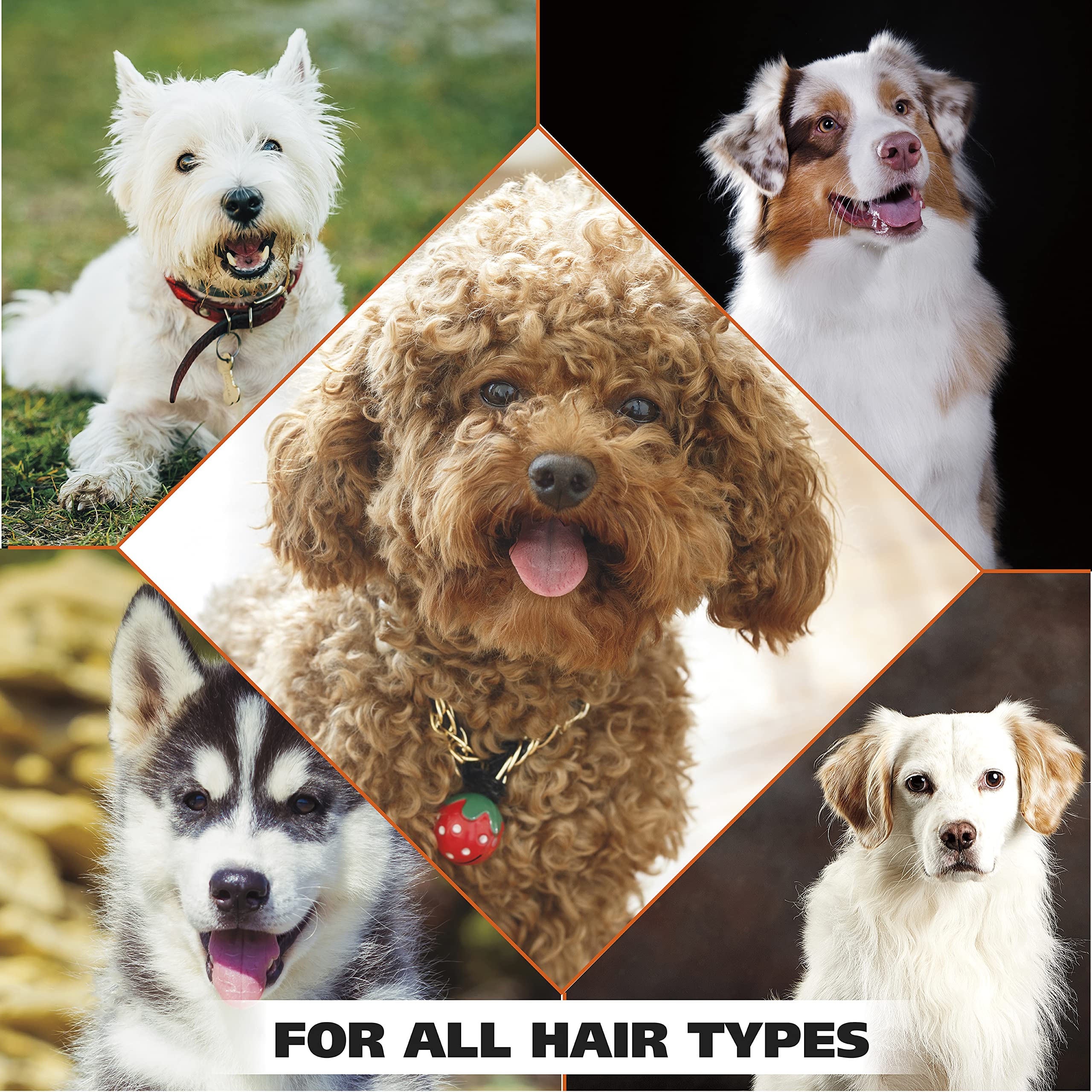 Foto 7 | Champú Para Mascotas Wahl Usa Dry Skin & Itch Relief, 1,89 L, Para Perros - Venta Internacional.