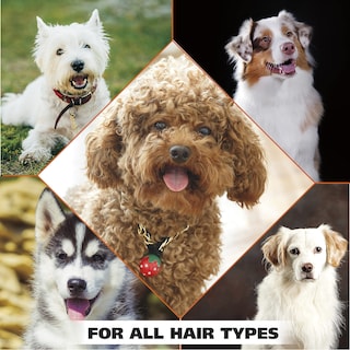Foto 7 | Champú Para Mascotas Wahl Usa Dry Skin & Itch Relief, 1,89 L, Para Perros - Venta Internacional.