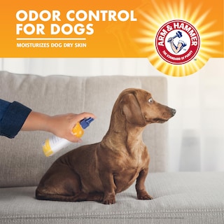 Foto 5 | Aerosol Desodorizante Arm & Hammer Para Mascotas Y Perros, 240 Ml - Venta Internacional.