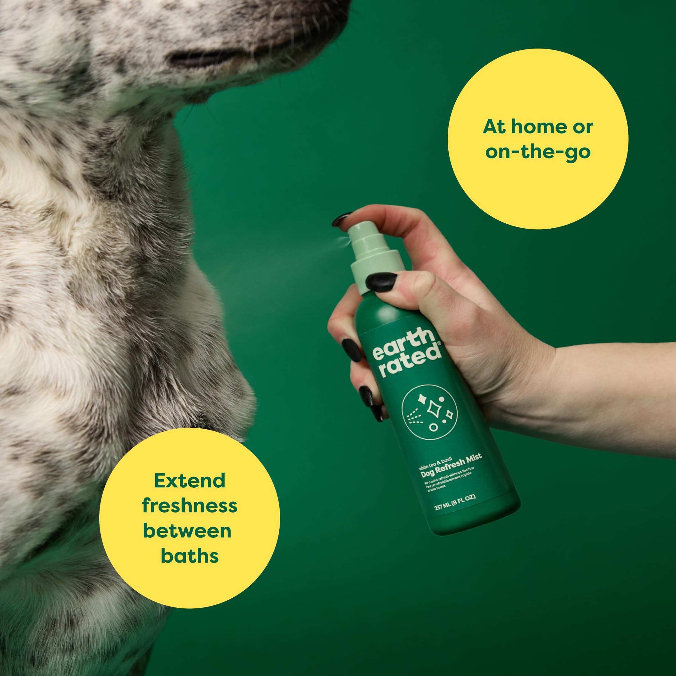 Foto 3 pulgar | Aerosol Desodorizante Para Perros, Té Blanco Refrescante De Calidad Ambiental, 240 Ml - Venta Internacional.