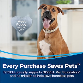 Foto 2 | Limpiador Bissell Para Mascotas Multisuperficie Con Cítricos, 2,37 L - Venta Internacional.