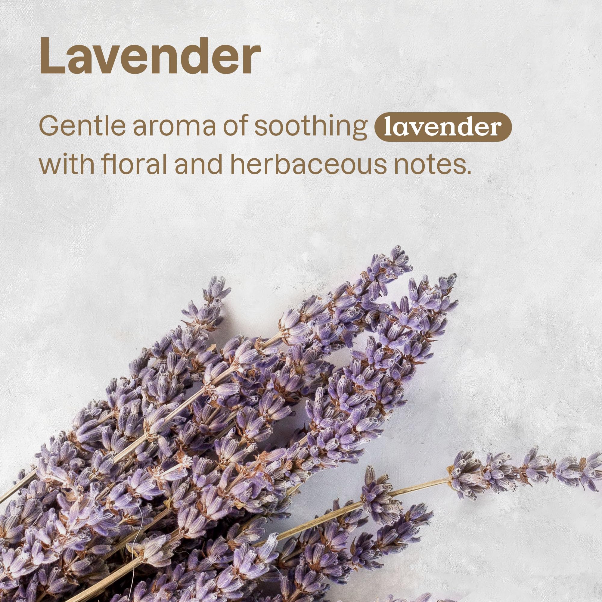 Foto 4 | Limpiador Para Todas Las Superficies Attitude Para Mascotas, Color Lavanda Vegano, 500 Ml - Venta Internacional.