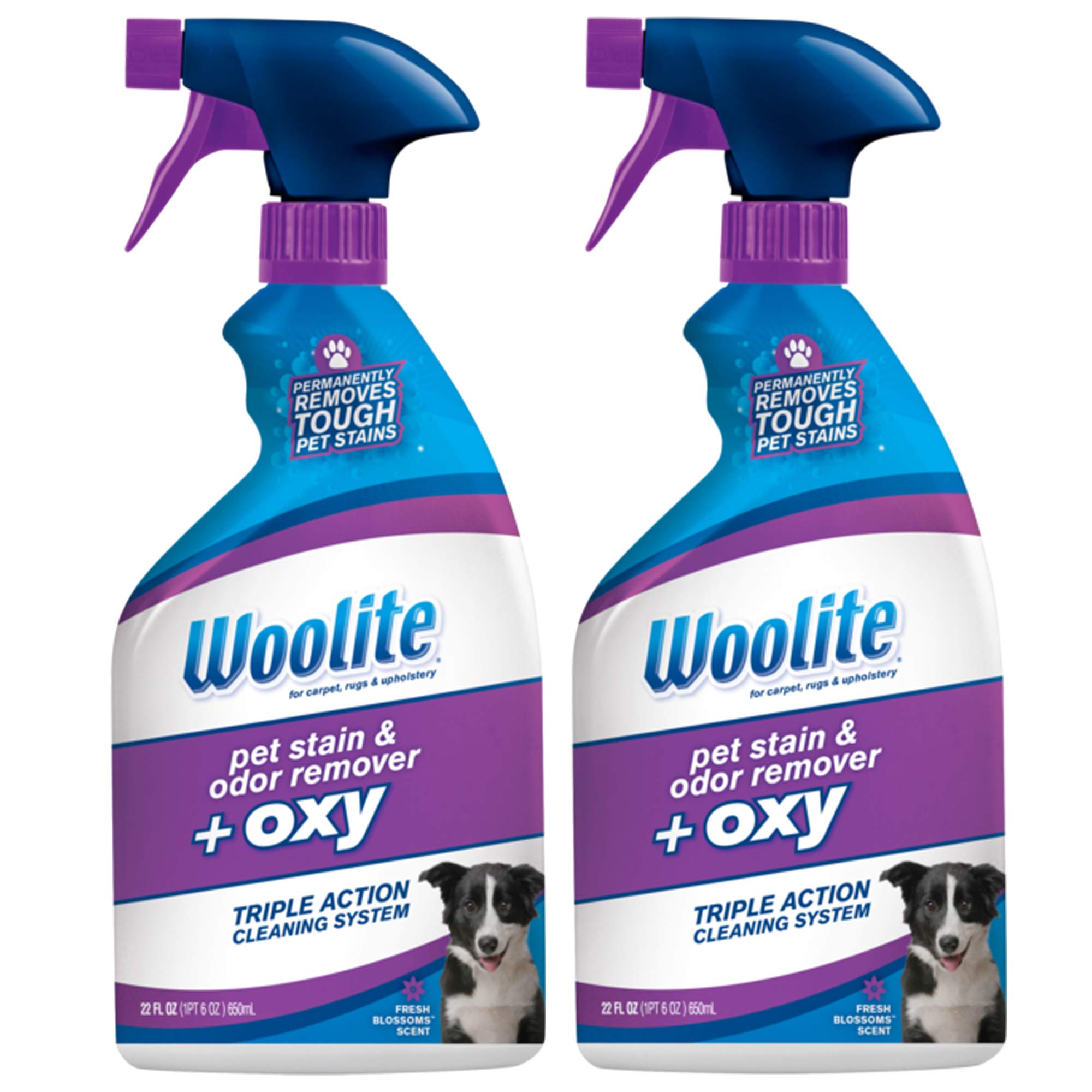 Foto 2 pulgar | Eliminador De Manchas Y Olores Bissell Woolite Pet Plus Oxy 650 Ml (x2) - Venta Internacional.