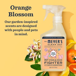 Foto 2 | Antimanchas Y Olores Para Mascotas Mrs. Meyer's Clean Day 480 Ml - Venta Internacional.