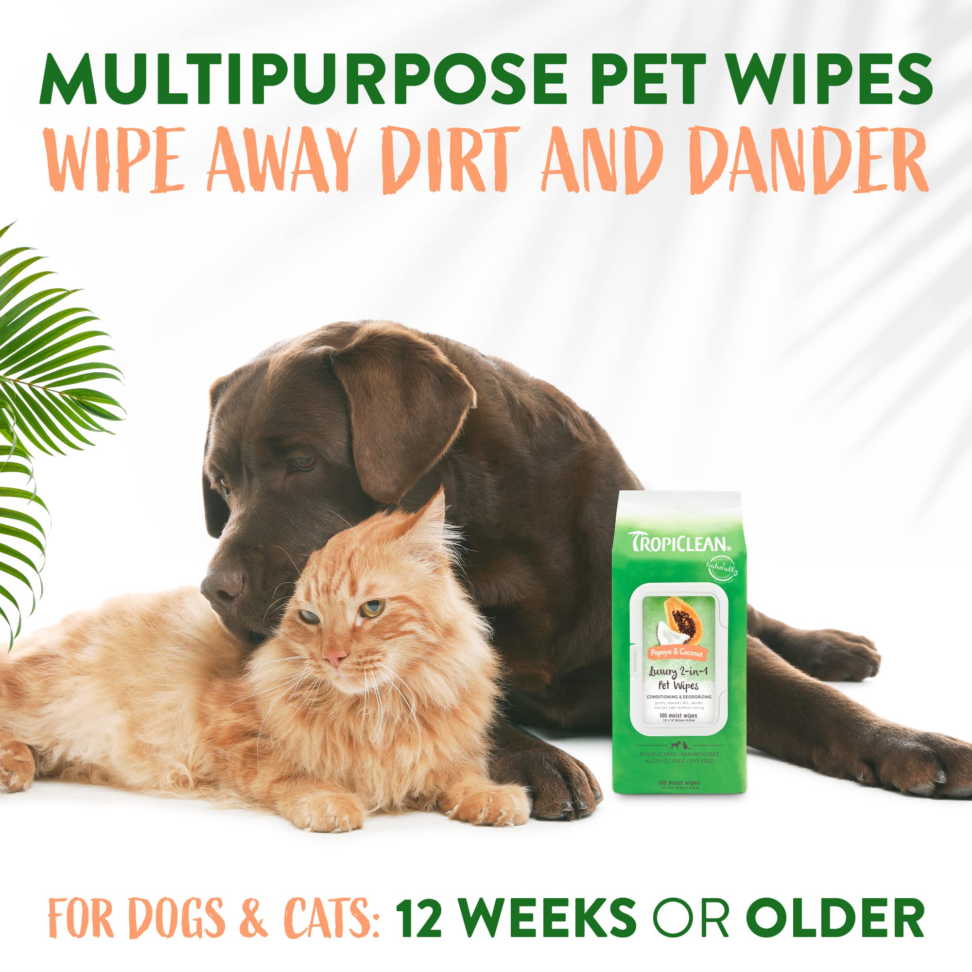 Foto 5 pulgar | Toallitas Para Perros Tropiclean De Limpieza Profunda Con Papaya Y Coco, 100 Unidades - Venta Internacional.