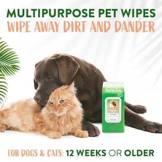 Foto 4 | Toallitas Para Perros Tropiclean De Limpieza Profunda Con Papaya Y Coco, 100 Unidades - Venta Internacional.