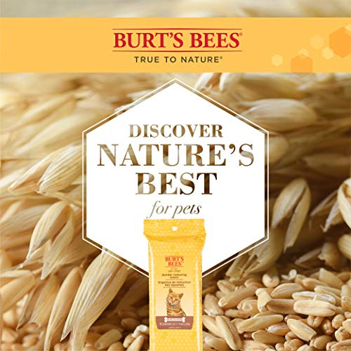 Foto 5 | Toallitas Para Mascotas Burt's Bees Para Gatos, Reductoras Naturales De Caspa, 50 Unidades - Venta Internacional.