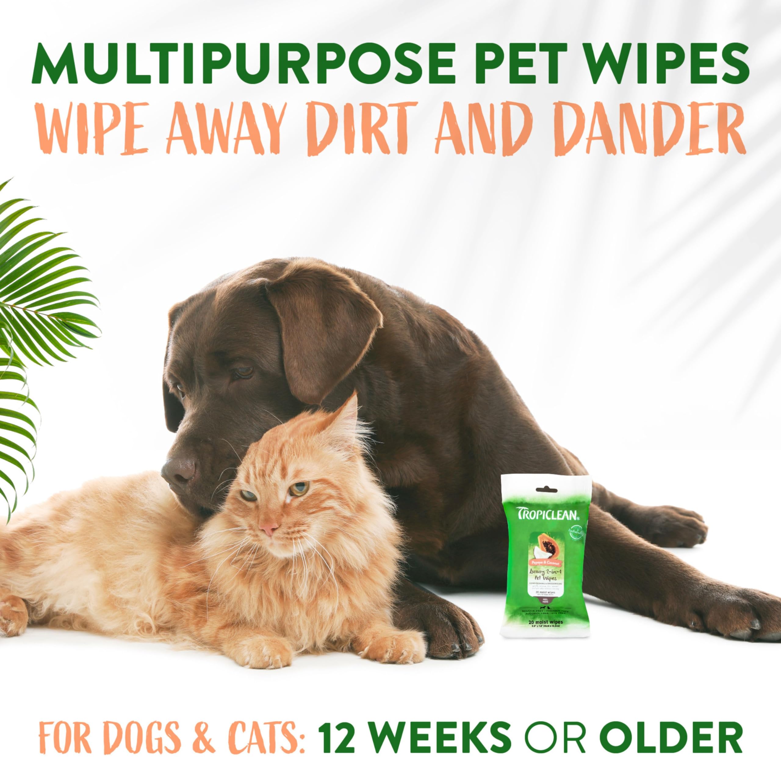 Foto 5 | Toallitas Para Perros Tropiclean De Limpieza Profunda Con Papaya Y Coco, 20 Unidades - Venta Internacional.