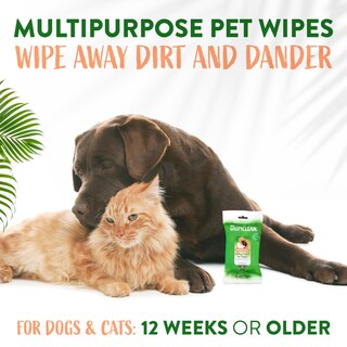 Foto 5 | Toallitas Para Perros Tropiclean De Limpieza Profunda Con Papaya Y Coco, 20 Unidades - Venta Internacional.