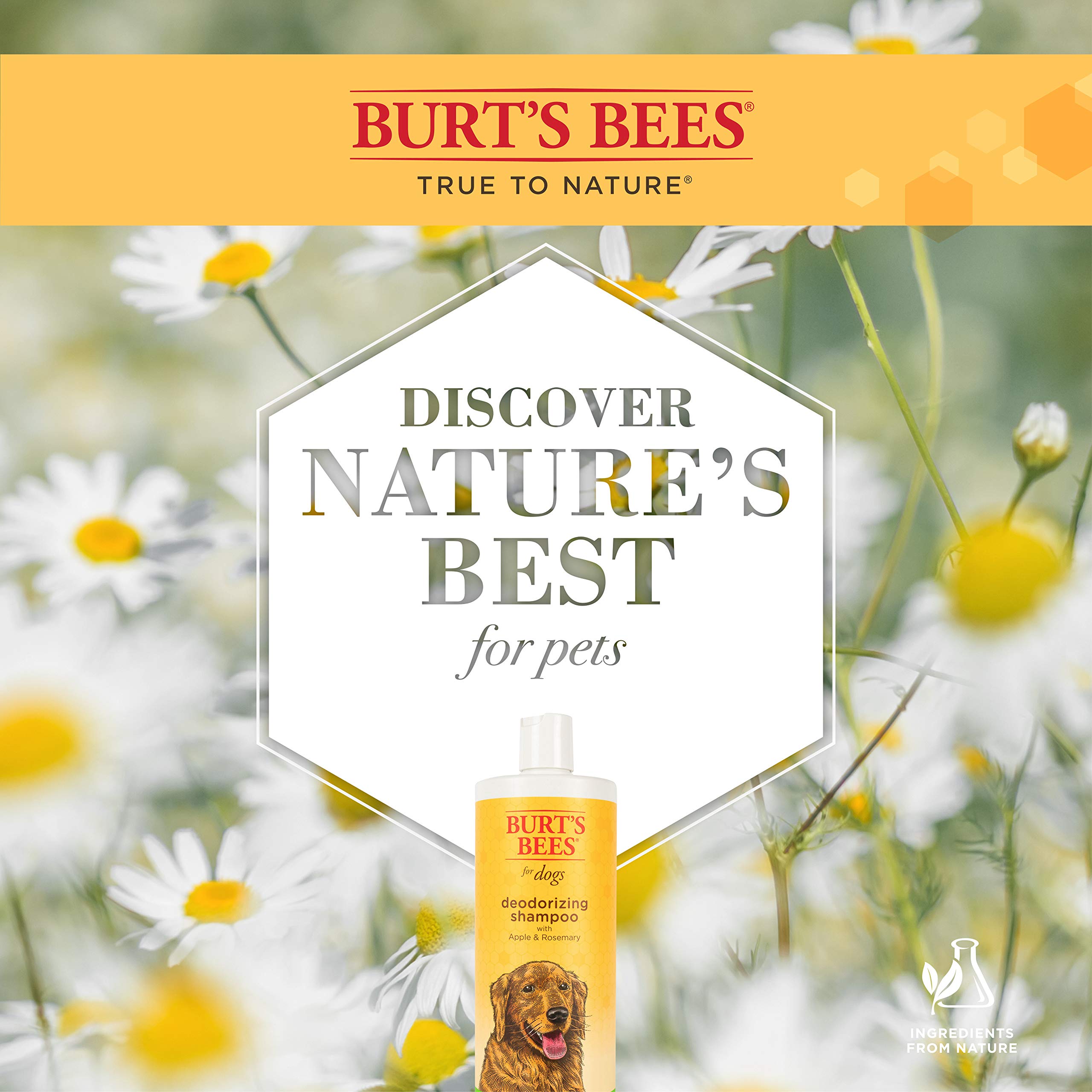 Foto 6 | Quitamanchas Burt's Bees Para Perros Con Manzanilla, 120 Ml - Venta Internacional.