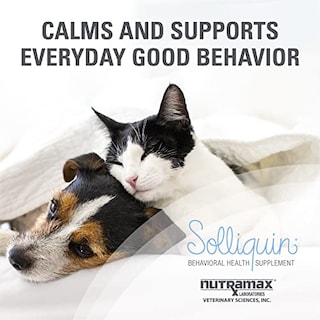 Foto 3 | Suplemento Nutramax Solliquin Behavioral Health Para Perros Y - Venta Internacional.