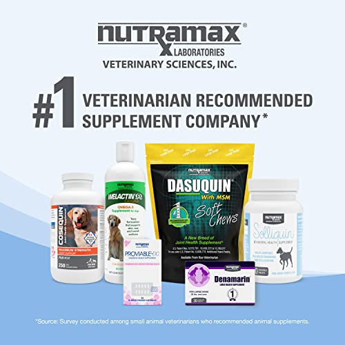 Foto 8 pulgar | Suplemento Nutramax Solliquin Behavioral Health Para Perros Y - Venta Internacional.