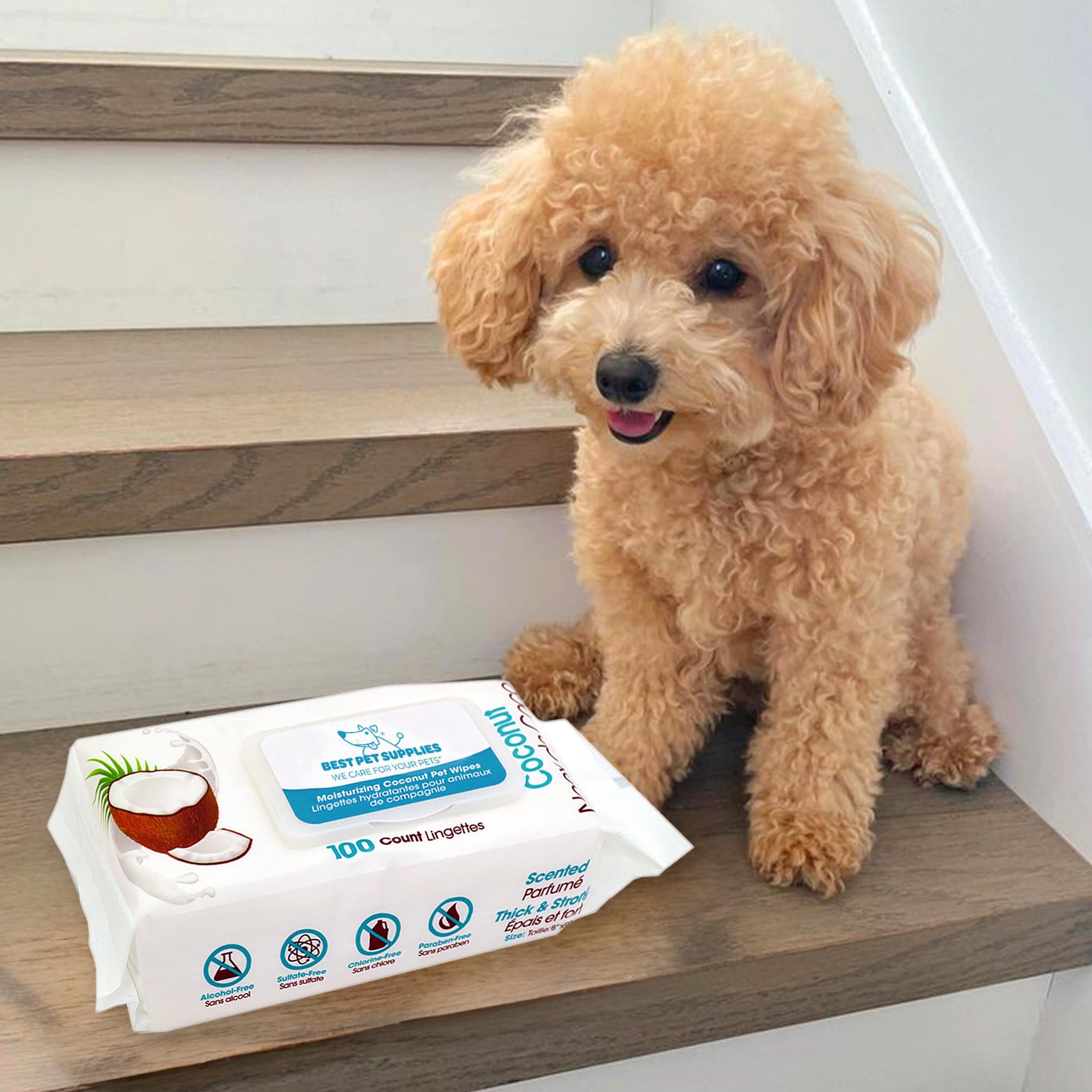 Foto 6 | Toallitas De Aseo Para Mascotas Best Pet Supplies, 8 X 9 Cm, Paquete De 100 Unidades Para Perros Y Gatos - Venta