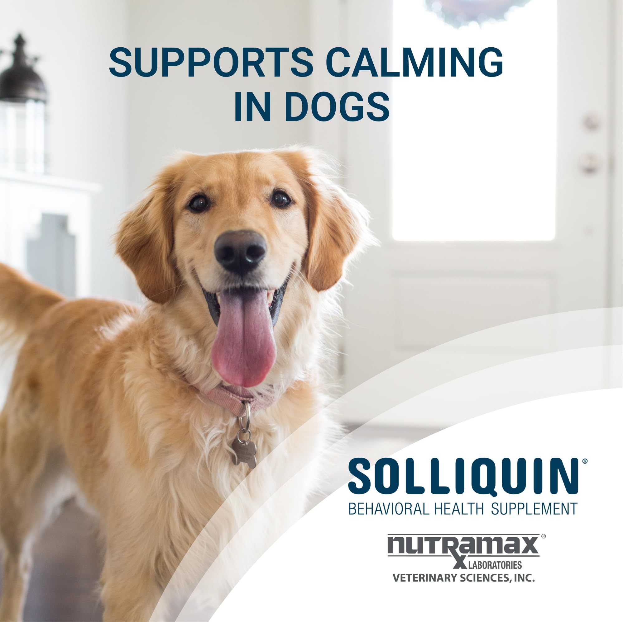 Foto 3 pulgar | Suplemento Nutramax Solliquin Calming Para Perros Grandes, 75 Masticables - Venta Internacional.