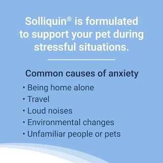Foto 3 | Suplemento Nutramax Solliquin Calming Para Perros Grandes, 75 Masticables - Venta Internacional.