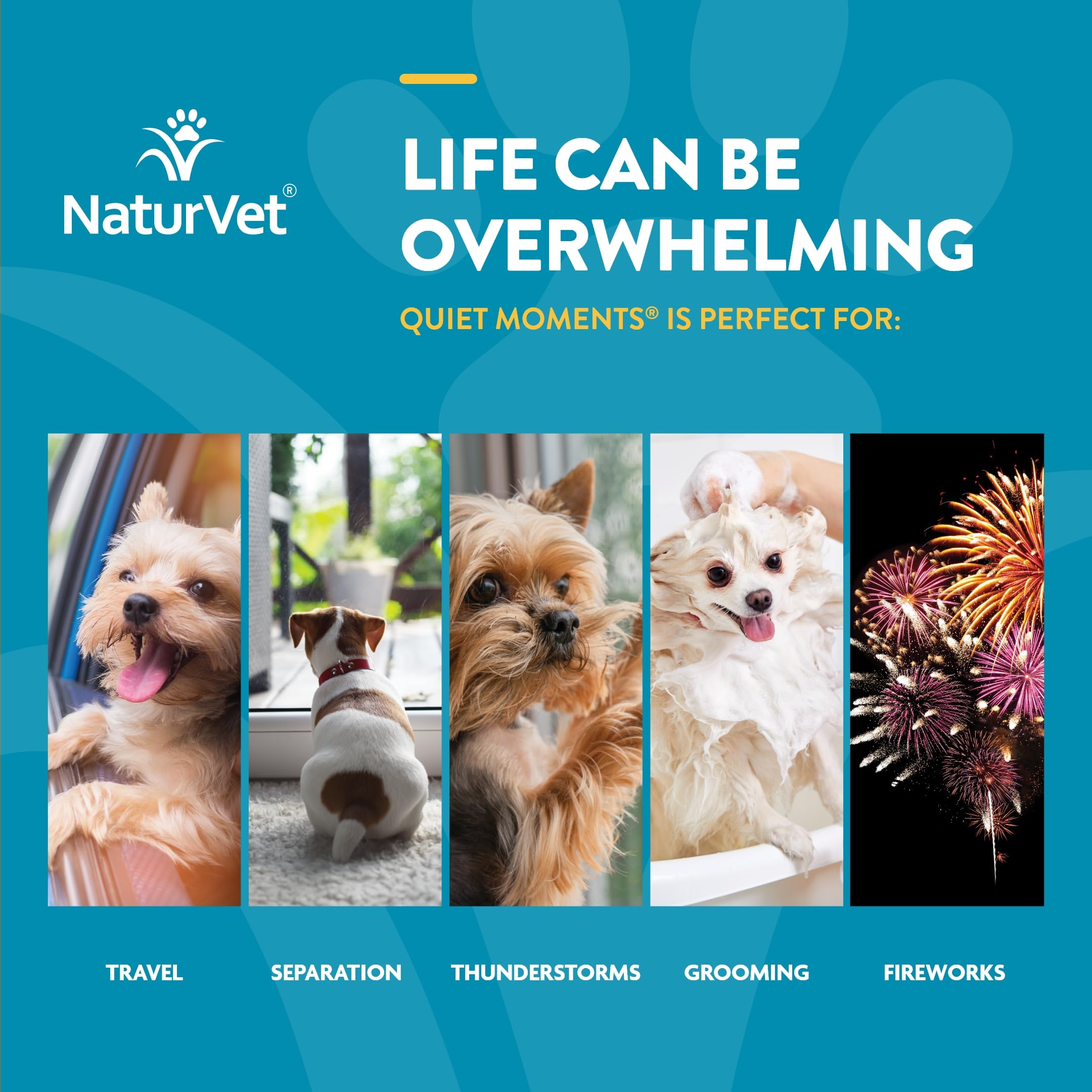 Foto 5 pulgar | Suplemento Para Perros Naturvet Quiet Moments Calming Aid 65 Soft Chews - Venta Internacional.