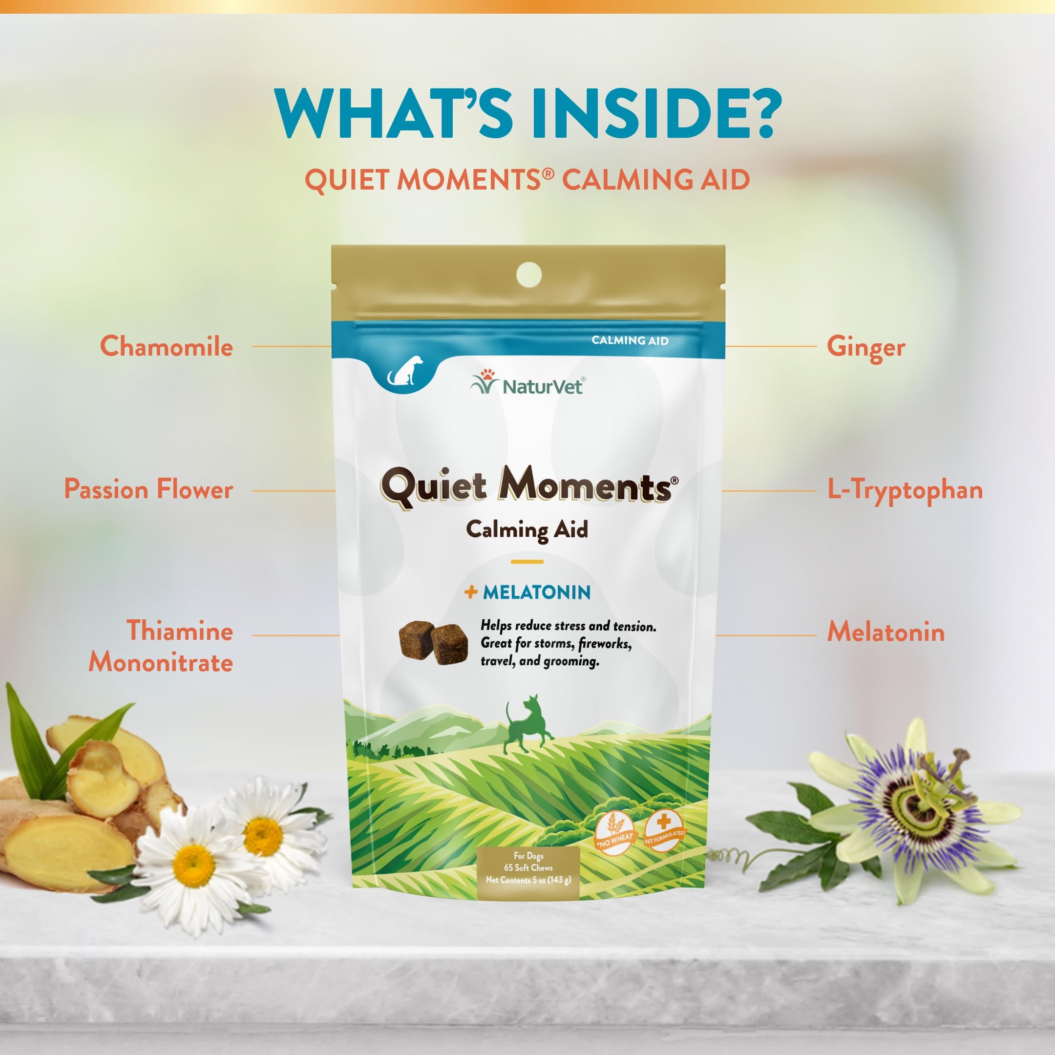 Foto 6 pulgar | Suplemento Para Perros Naturvet Quiet Moments Calming Aid 65 Soft Chews - Venta Internacional.