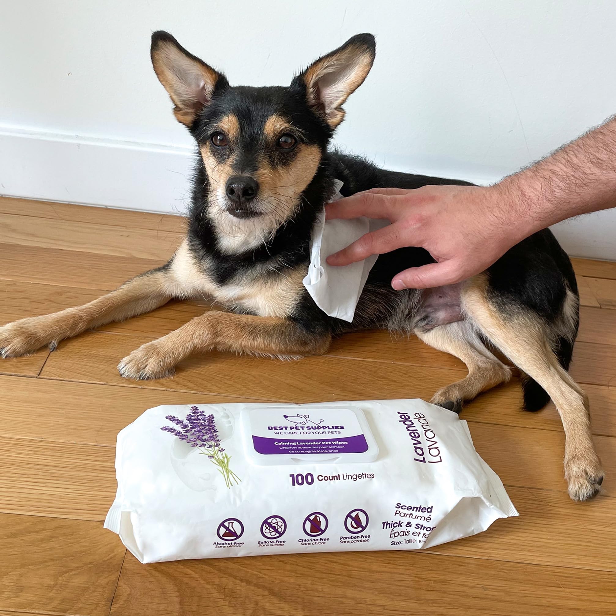 Foto 6 | Toallitas Para Perros Best Pet Supplies Hipoalergénicas, Paquete De 400 - Venta Internacional.