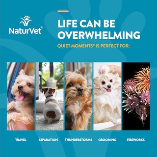 Foto 4 | Suplemento Para Perros Naturvet Quiet Moments Calming Aid 240 Chews - Venta Internacional.