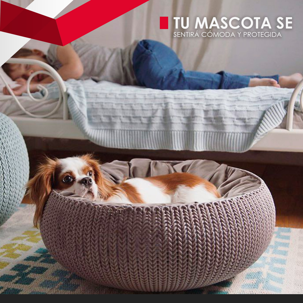 Foto 4 pulgar | Cama para Mascotas Cozy Pet Bed 17202851 color Beige Cojín Removible