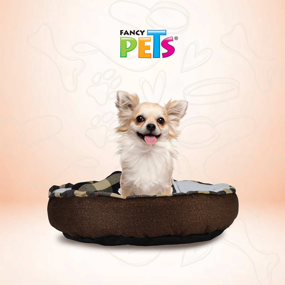 Foto 4 pulgar | Cama para Mascotas Fancy Pets Multicolor Tamaño Ch con Frazada y Juguete