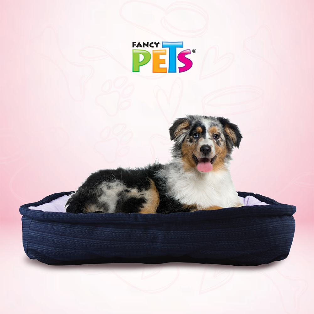 Foto 4 pulgar | Cama para Mascotas Fancy Pets Multicolor Rectangular Mediana