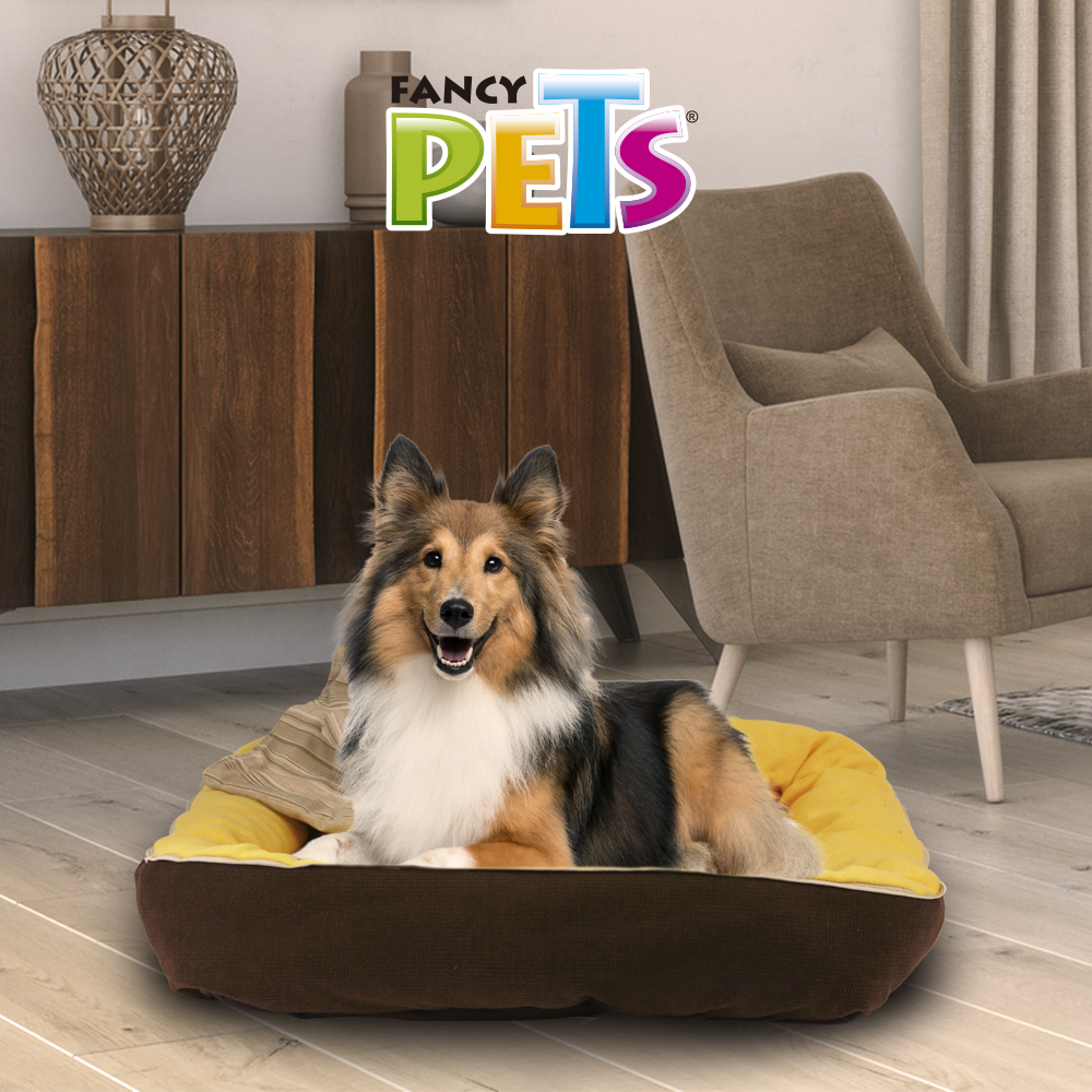 Foto 4 pulgar | Cama para Mascotas Fancy Pets Multicolor Grande con Frazada y Juguete