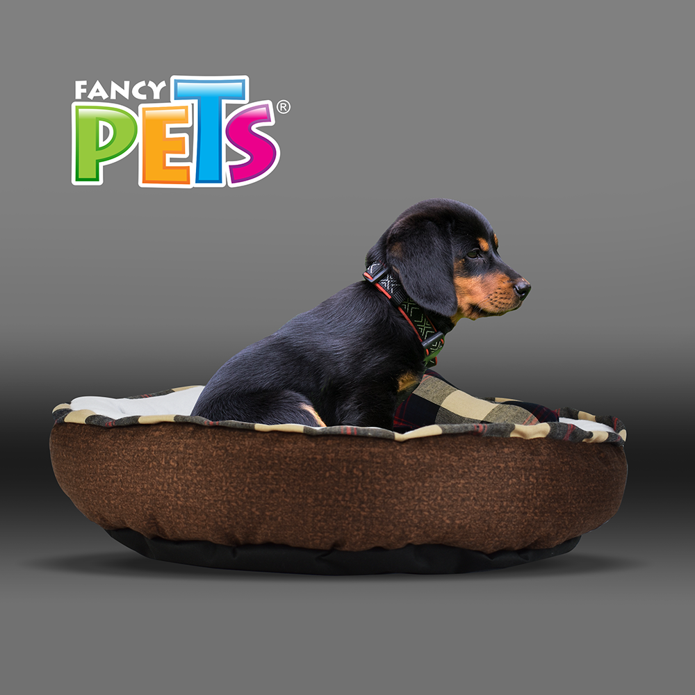 Foto 4 pulgar | Cama para Mascotas Fancy Pets Multicolr Tamaño Mediano con Frazada y Juguete