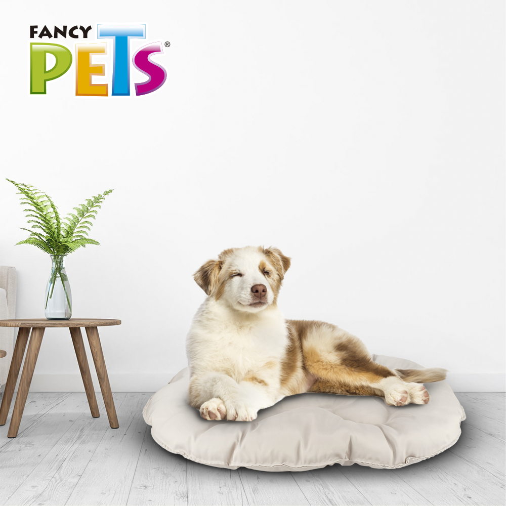 Foto 4 pulgar | Cama para Mascotas Fancy Pets Llucky color Blanco Extra Grande