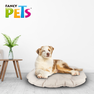 Foto 3 | Cama para Mascotas Fancy Pets Llucky color Blanco Extra Grande