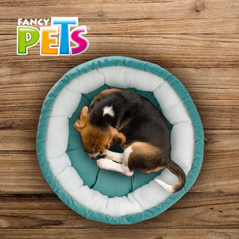 Foto 3 | Cama Chica Redonda Fancy Pets color Azul