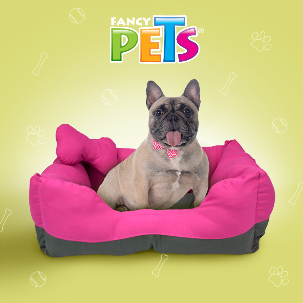 Foto 4 pulgar | Cama Rectangular Bicolor Fancy Pets