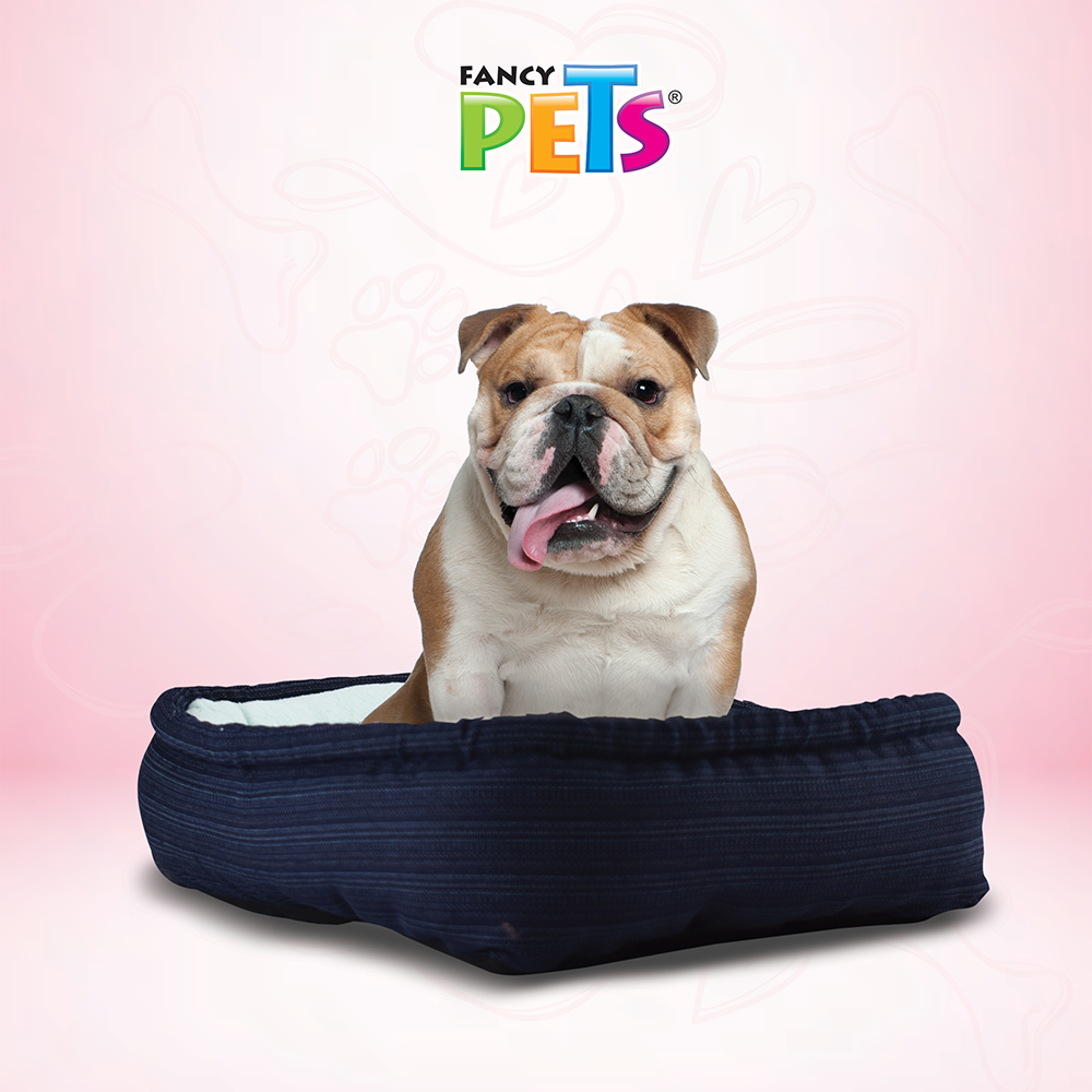 Foto 4 pulgar | Cama Chica Fancy Pets color Azul