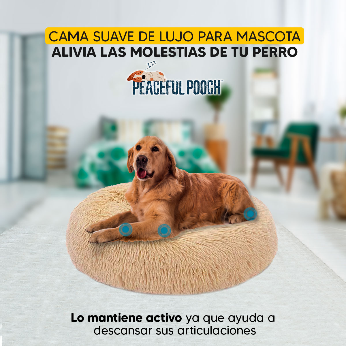 Foto 4 pulgar | Cama para Perro Tv Ofertas Peaceful Pooch color Beige Suave y Extra Cómoda