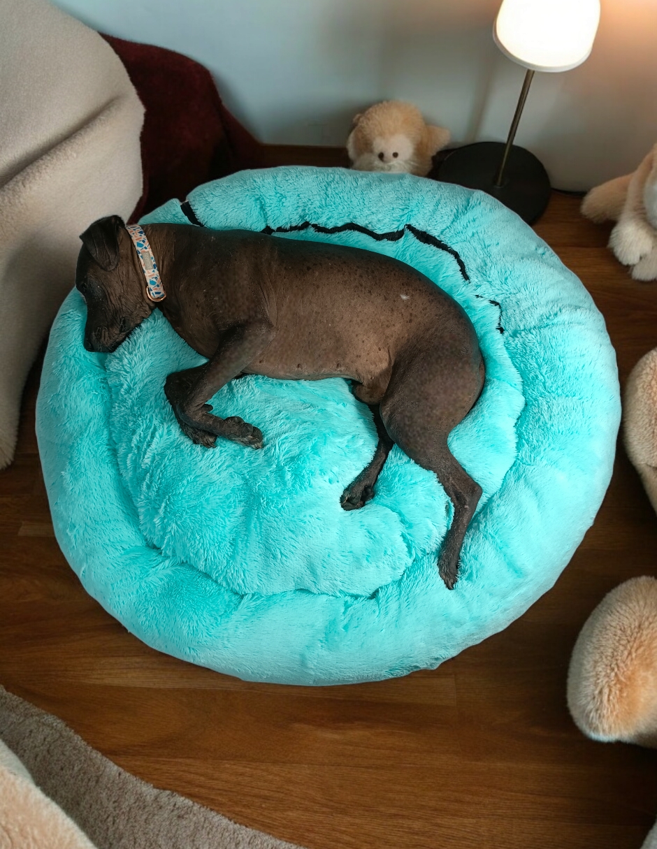 Foto 7 | Cama para Mascotas Lunics color Verde Jumbo Confortable Antiestrés