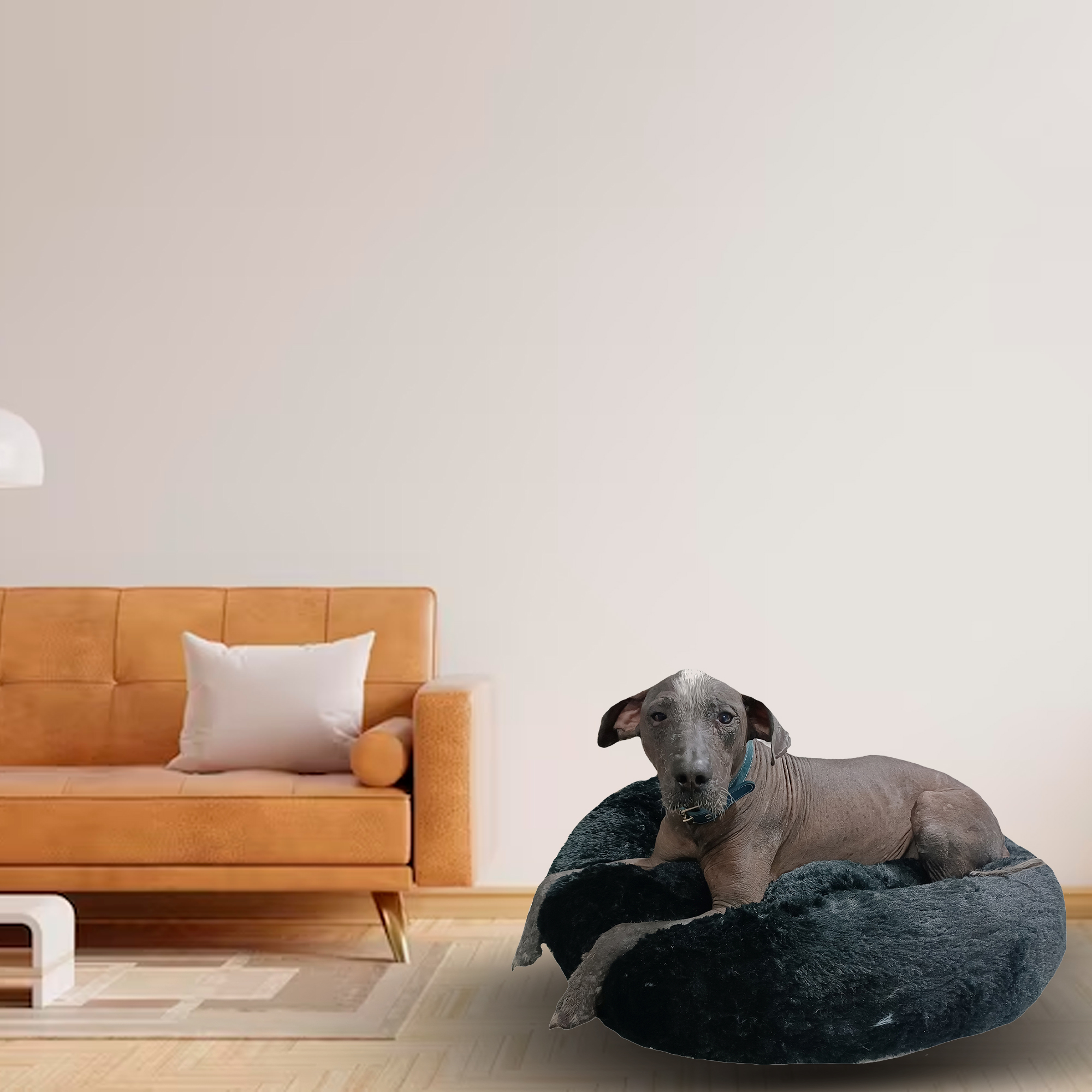 Foto 9 pulgar | Cama para Mascotas Lunics color Negro Mediana Confortable Antiestrés