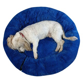 Foto 5 | Cama Antiestrés Lunics CA-ANCHAZR color Azul Rey Chica