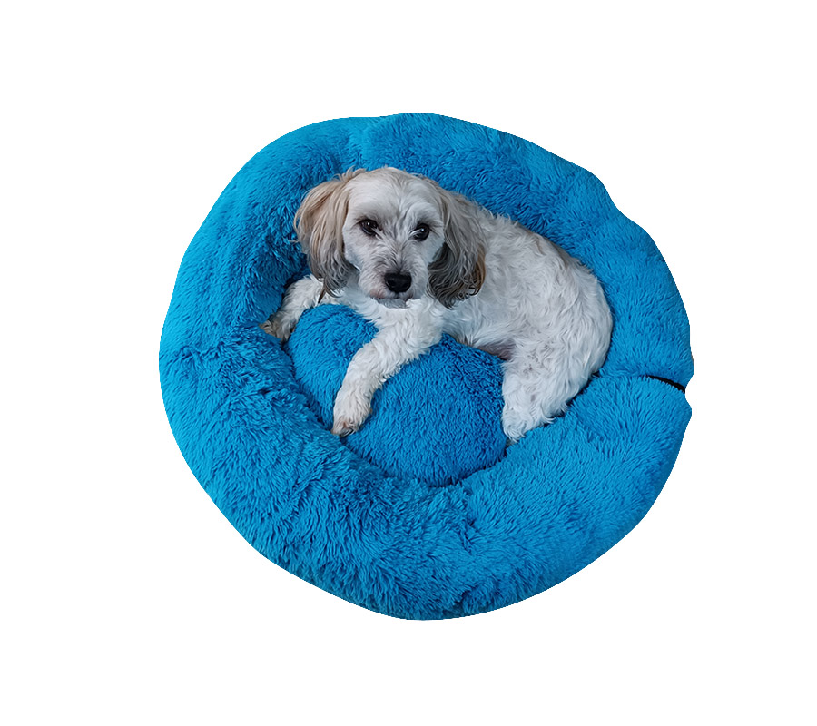 Foto 4 pulgar | Cama Anti Estrés Lunics CA-ANCHAZTU color Azul Turquesa Chica