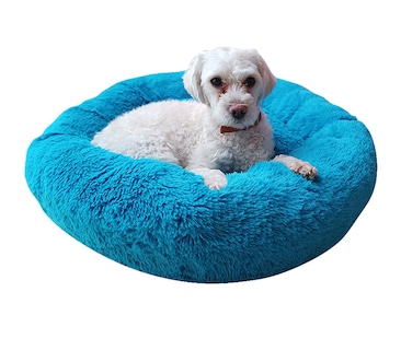 Foto 4 | Cama Anti Estrés Lunics CA-ANCHAZTU color Azul Turquesa Chica