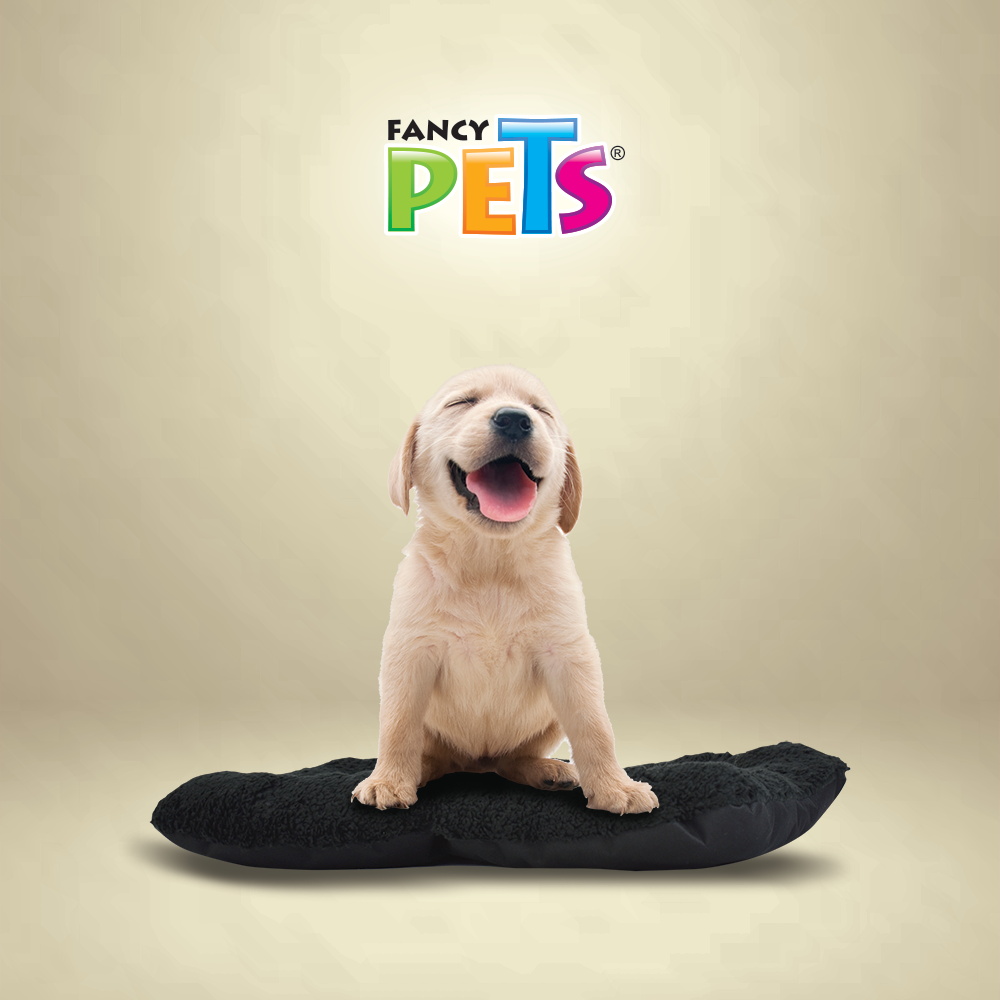 Foto 4 pulgar | Tapete Fancy Pets para Transportadora Tamaño Mediano para Perro o Gato