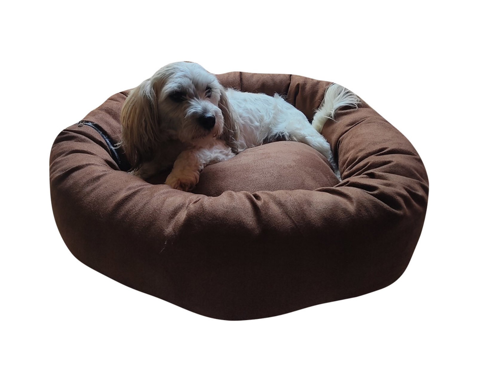 Foto 3 pulgar | Cama Lunics Casumdch color Café para Mascota