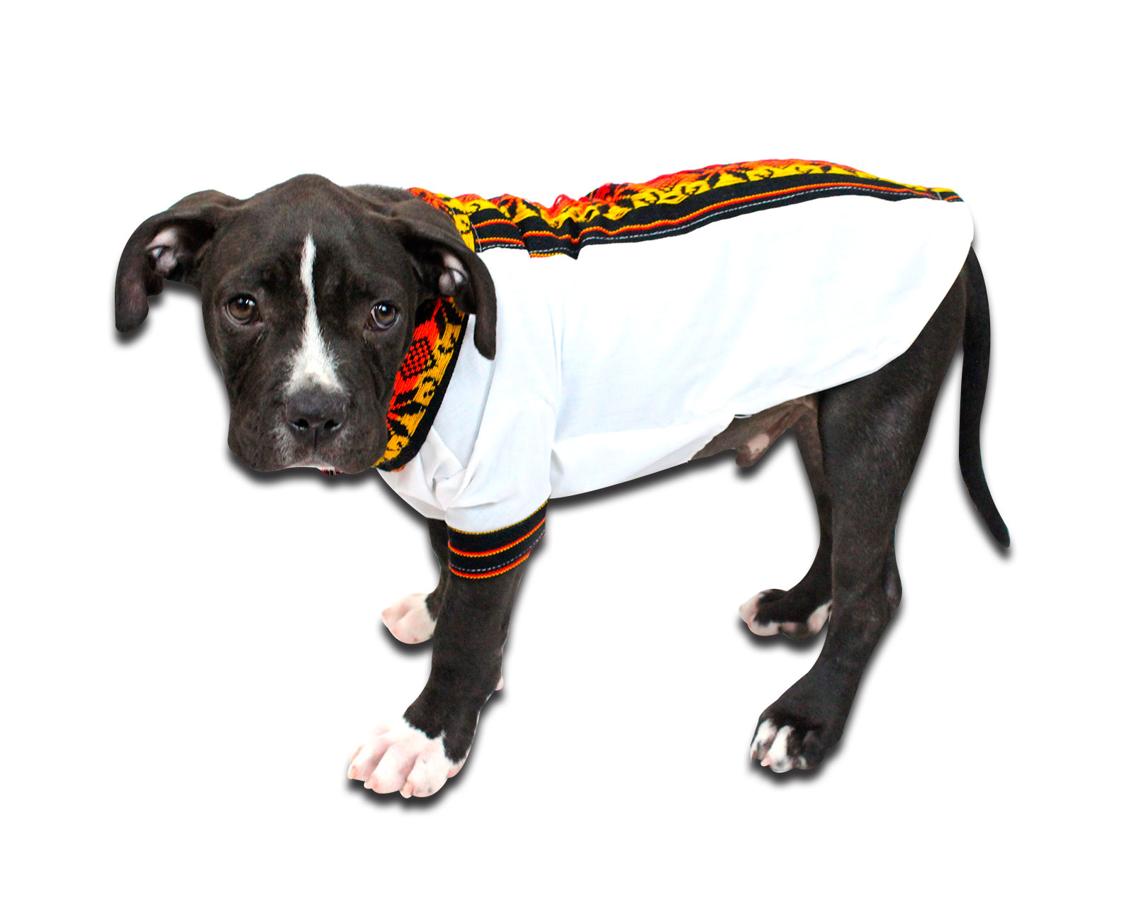 Camisa para Perro Bajiopets Mexicana #3 color Blanco