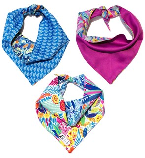 Foto 2 | Bandanas Para Perros Set De 3 Piezas Talla Chica - Hojas