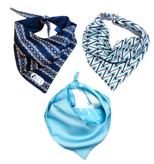 Foto 2 | Bandanas Para Perros Set De 3 Piezas Talla Chica - Tribal Azul