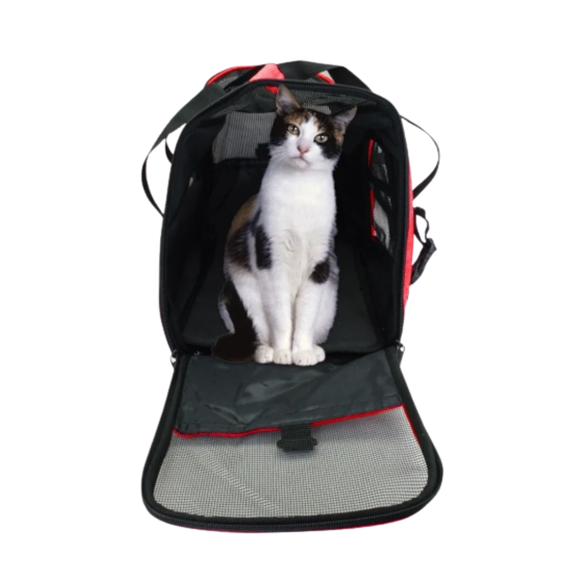 Foto 3 pulgar | Bolsa Transportadora para Perros y Gatos Grande color Rojo